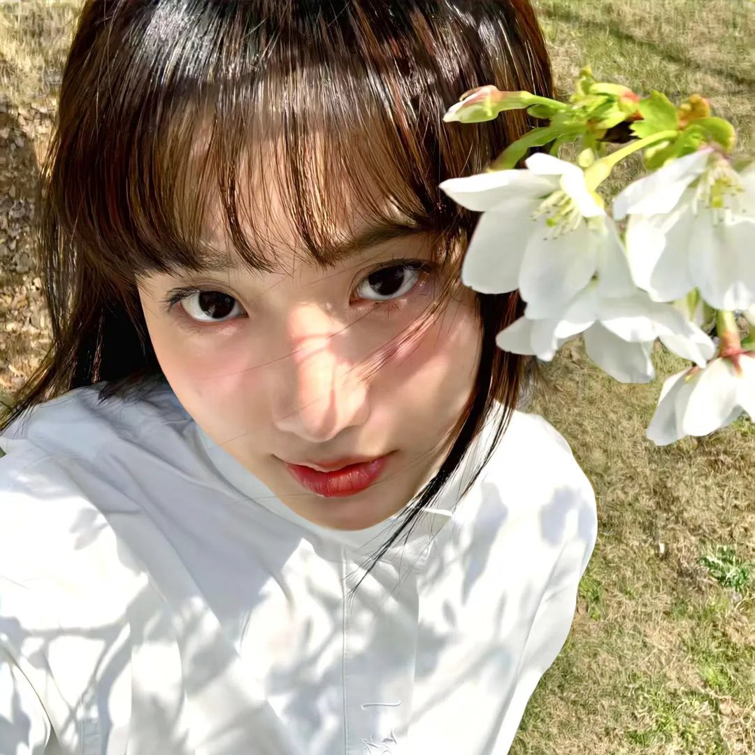 奇幻森林之兽语小子